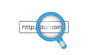 website-domain